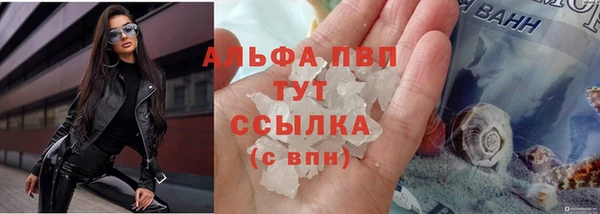мет Бородино