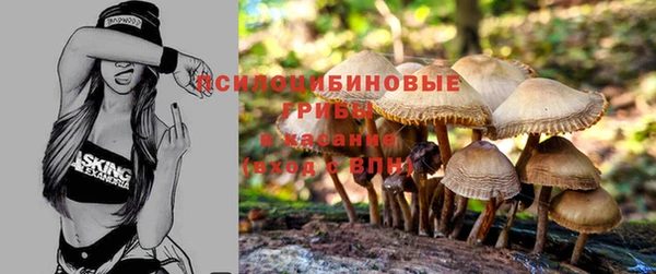 соль ск Бронницы