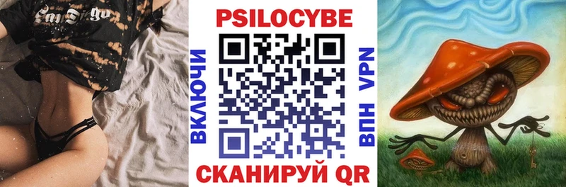 Псилоцибиновые грибы ЛСД  даркнет официальный сайт  Новороссийск 