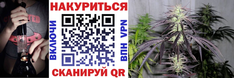 Бошки марихуана SATIVA & INDICA  блэк спрут   Новороссийск 